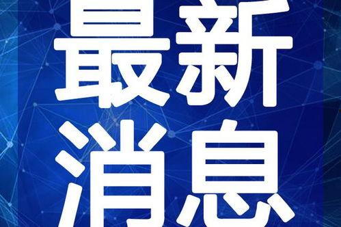 和平花园爆料视频大全最新,揭秘社区生活精彩瞬间